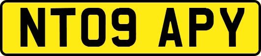 NT09APY