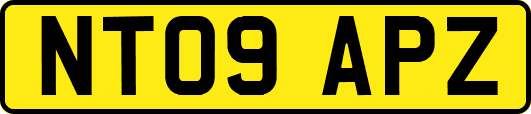 NT09APZ