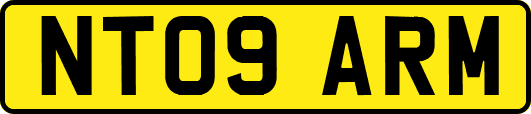NT09ARM