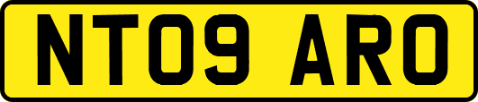 NT09ARO