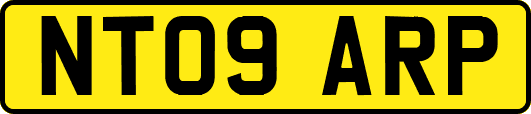 NT09ARP