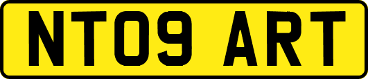 NT09ART