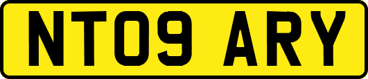 NT09ARY