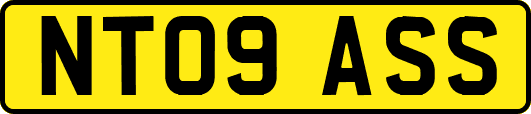 NT09ASS