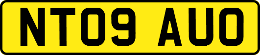 NT09AUO