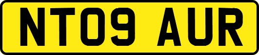 NT09AUR