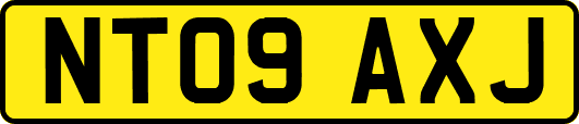 NT09AXJ
