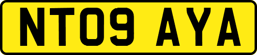 NT09AYA