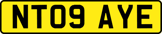NT09AYE