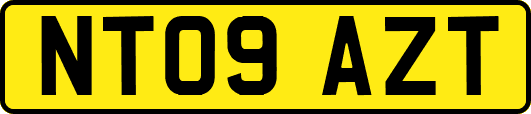 NT09AZT