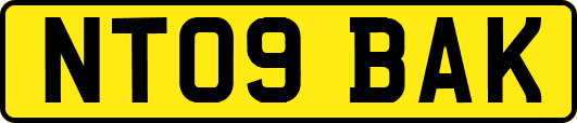 NT09BAK
