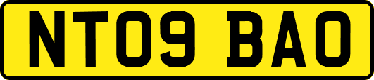 NT09BAO