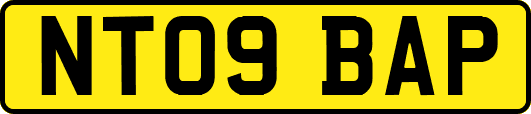 NT09BAP