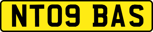 NT09BAS