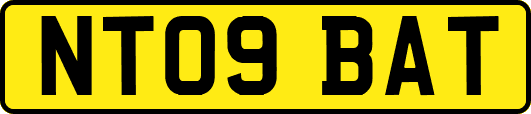 NT09BAT