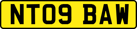 NT09BAW