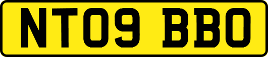 NT09BBO