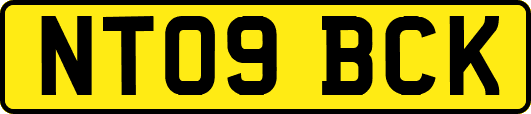 NT09BCK