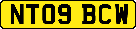 NT09BCW
