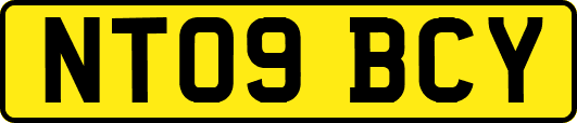 NT09BCY