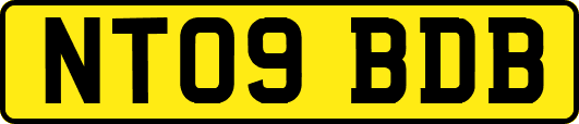 NT09BDB