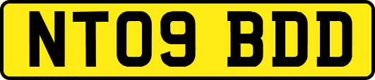 NT09BDD