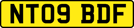 NT09BDF