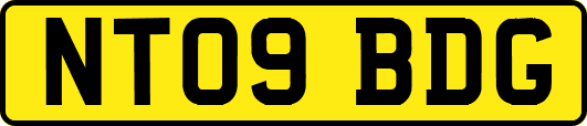 NT09BDG