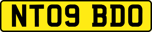 NT09BDO