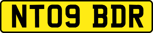 NT09BDR