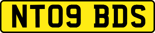 NT09BDS