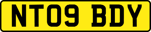 NT09BDY