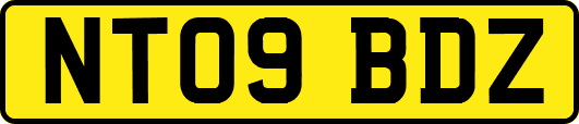 NT09BDZ