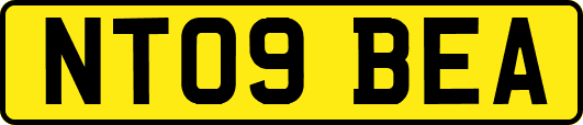 NT09BEA