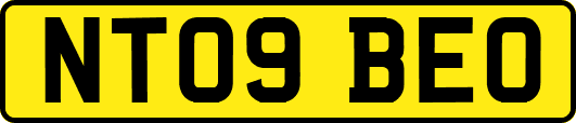 NT09BEO