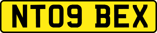 NT09BEX