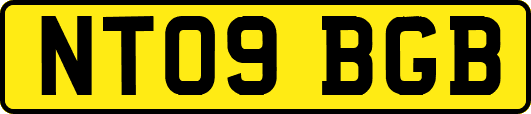 NT09BGB