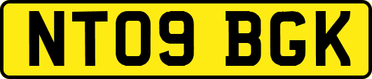 NT09BGK