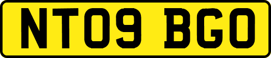 NT09BGO