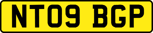 NT09BGP