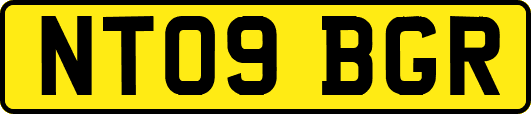 NT09BGR
