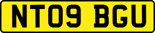 NT09BGU