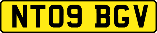 NT09BGV