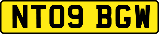 NT09BGW