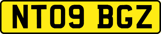 NT09BGZ