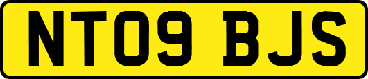 NT09BJS