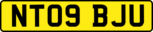 NT09BJU