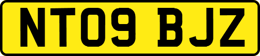 NT09BJZ