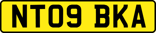 NT09BKA