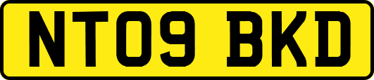 NT09BKD